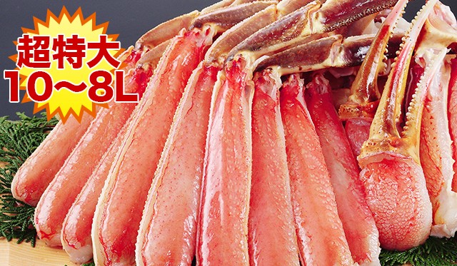 超特大１０～８L